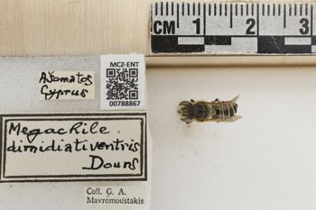 Media type: image;   Entomology 788867 Aspect: Labels